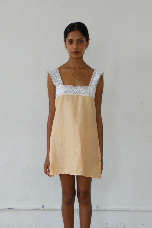 Anna Shift in Guava